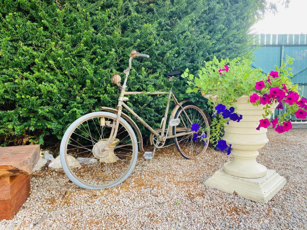 Aux Berges Du Libre Bed and Breakfast Felines-Termenes Buitenkant foto